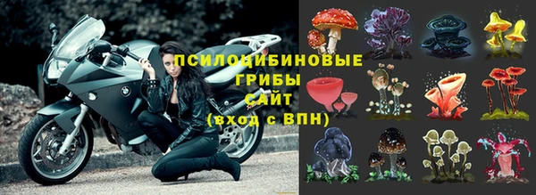 герыч Медногорск