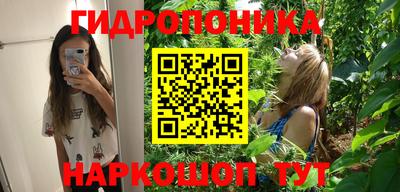 шишки Ангарск
